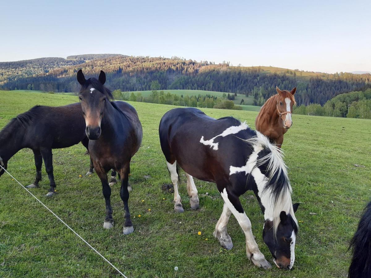Chata Nova Seninka Staré Město Exterior foto
